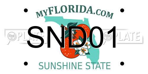 SND01 Florida License Plate