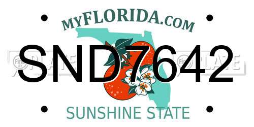 SND7642 Florida License Plate