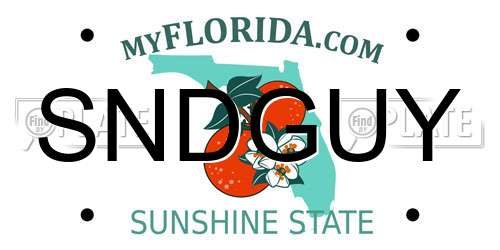 SNDGUY Florida License Plate