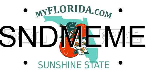 SNDMEME Florida License Plate