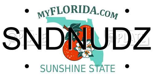 SNDNUDZ Florida License Plate