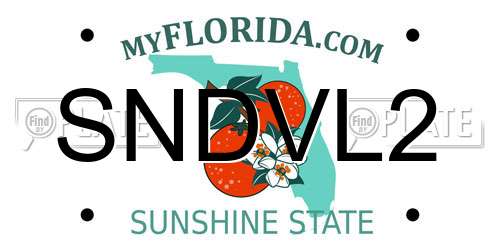 SNDVL2 Florida License Plate
