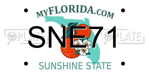SNE71 Florida License Plate