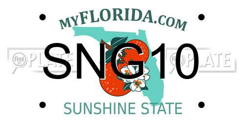 SNG10 Florida License Plate