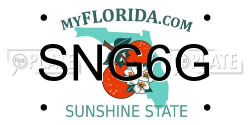 SNG6G Florida License Plate
