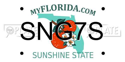 SNG7S Florida License Plate