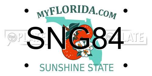 SNG84 Florida License Plate