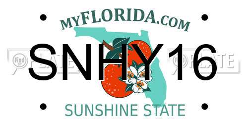 SNHY16 Florida License Plate