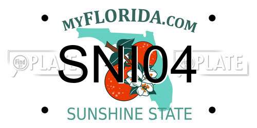 SNI04 Florida License Plate