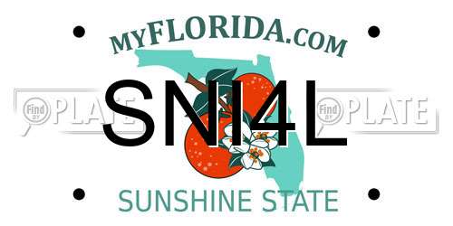SNI4L Florida License Plate