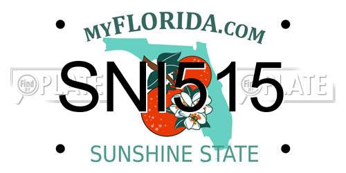 SNI515 Florida License Plate