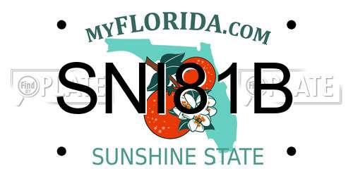 SNI81B Florida License Plate