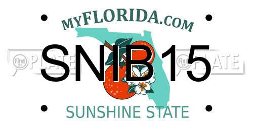 SNIB15 Florida License Plate