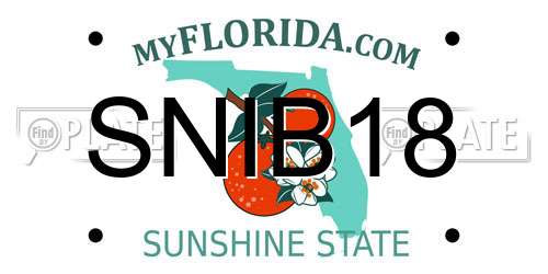 SNIB18 Florida License Plate