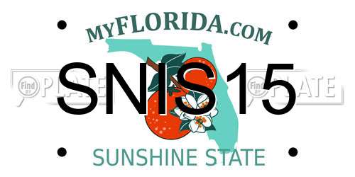 SNIS15 Florida License Plate