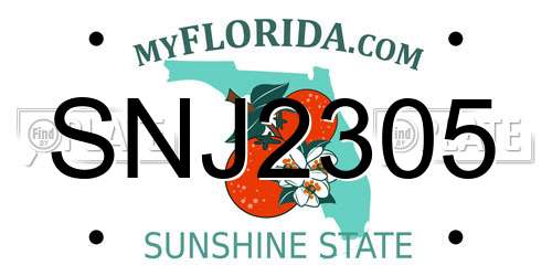SNJ2305 Florida License Plate