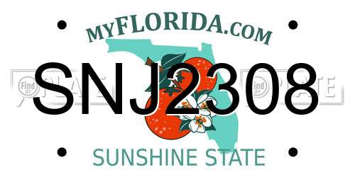 SNJ2308 Florida License Plate