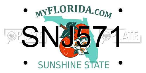SNJ571 Florida License Plate