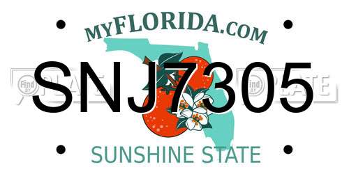SNJ7305 Florida License Plate