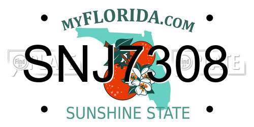 SNJ7308 Florida License Plate
