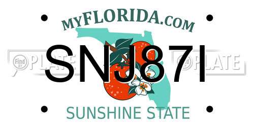 SNJ87I Florida License Plate