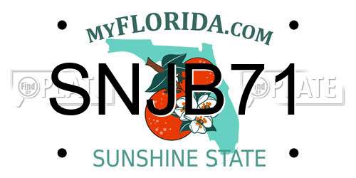 SNJB71 Florida License Plate