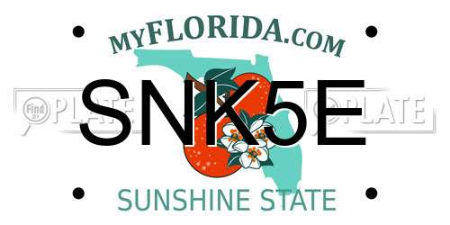 SNK5E Florida License Plate