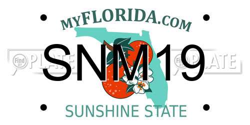 SNM19 Florida License Plate