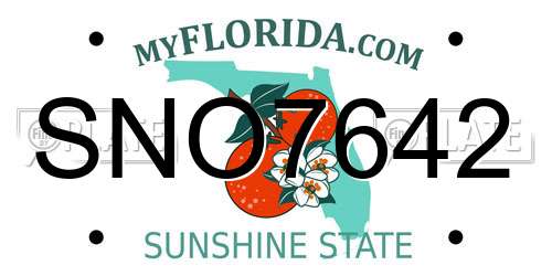 SNO7642 Florida License Plate