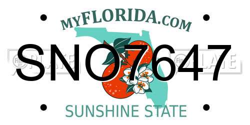SNO7647 Florida License Plate