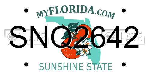SNQ2642 Florida License Plate