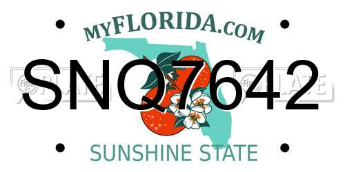 SNQ7642 Florida License Plate