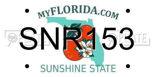 SNR153 Florida License Plate