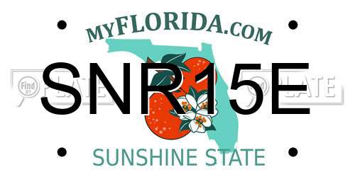 SNR15E Florida License Plate