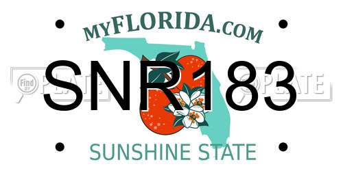 SNR183 Florida License Plate