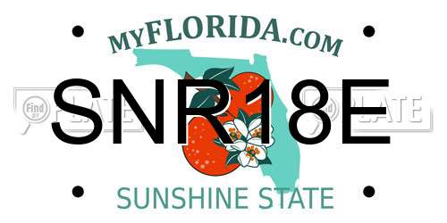SNR18E Florida License Plate