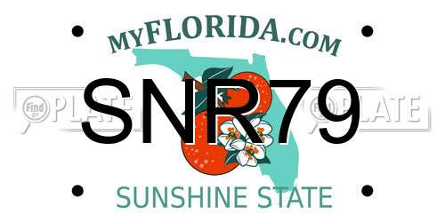 SNR79 Florida License Plate