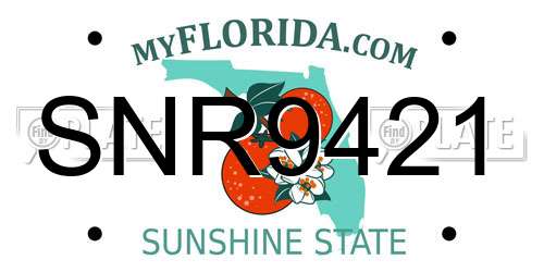 SNR9421 Florida License Plate
