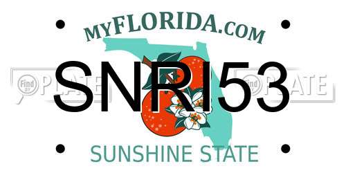 SNRI53 Florida License Plate