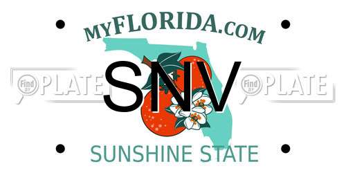 SNV Florida License Plate