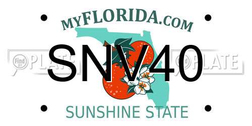 SNV40 Florida License Plate
