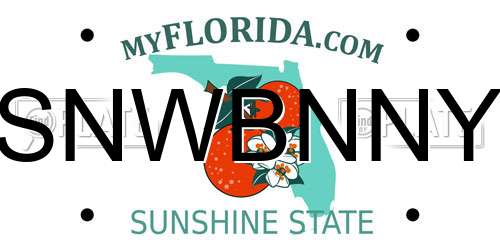 SNWBNNY Florida License Plate