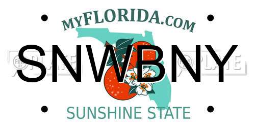 SNWBNY Florida License Plate