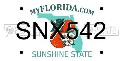 SNX542 Florida License Plate