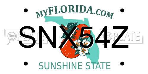 SNX54Z Florida License Plate