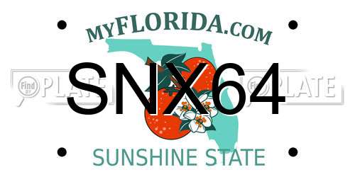 SNX64 Florida License Plate