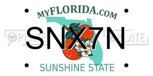 SNX7N Florida License Plate