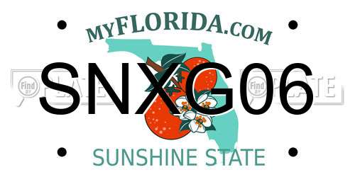 SNXG06 Florida License Plate