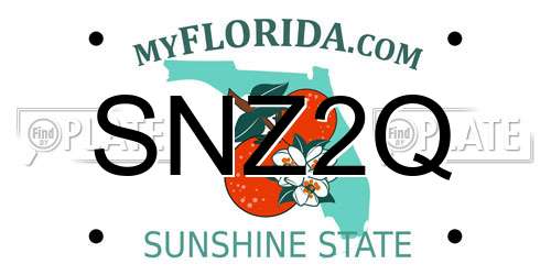 SNZ2Q Florida License Plate