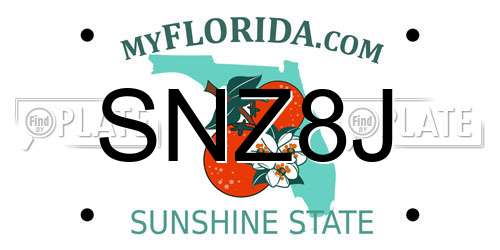 SNZ8J Florida License Plate